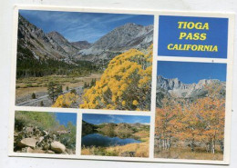 AK 135603 USA - California - Yosemite National Park - Tioga Pass - Yosemite