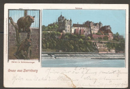 Gruss Aus Bernburg; Schlosszwiner      Pfullendorf 1902     (ty263) - Bernburg (Saale)