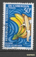 CAMEROUN  1967 Fruits    Banana (Musa Acuminata)   Ø USED - Cameroun (1960-...)