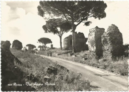 Z5532 Roma - Via Appia Antica - Panorama / Non Viaggiata - Mehransichten, Panoramakarten