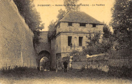 CPA 80 PICQUIGNY RUINES DU CHATEAU LE PAVILLON  Carte Glacée - Picquigny