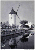 Carte Postale 85. Beauvoir-sur-mer Le Moulin De St-Esprit Trés Beau Plan - Beauvoir Sur Mer