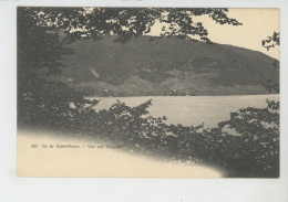 SUISSE - ILE DE SAINT PIERRE - Vue Sur Douanne - Douanne-Daucher