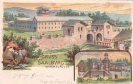Kastell Saalburg Im Taunus - Saalburg