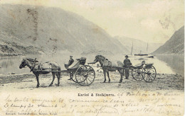 Norvege Attelage Kariol Stolkjaerre 1905 - Norwegen