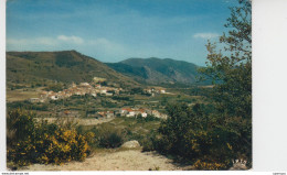 66 - SOURNIA / VUE GENERALE - Sournia