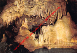 Grottes Des 1001 Nuits - Hotton - Hotton