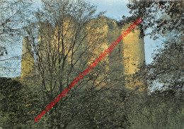 Le Château De Franchimont - Vue Du Donjon - Theux - Theux