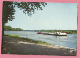 EP290  CP  LAUTERBOURG   (Bas-Rhin)  Le Rhin  - Péniche  +++++ - Lauterbourg