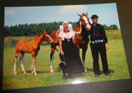 Paarden - Horses - Pferde - Cheveaux - Paard - Met Paar In Zeeuwse Klederdracht - Groeten Uit Zeeland - Chevaux