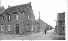 BOORTMEERBEEK  Lierenhoek - Boortmeerbeek