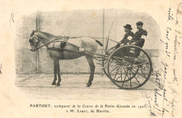 Biarritz * Hippisme * PARTOUT Cheval Vainqueur De La Course De La Petite Gironde 1903 à M. LABAT - Biarritz