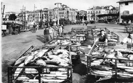 St Jean De Luz * Déchargement Des Thons Sur Les Quais * Pêche Pêcheurs - Saint Jean De Luz