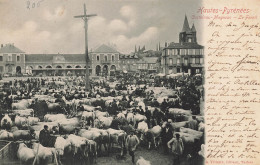 Castelnau Magnoac * 1904 * Le Foirail * Marché Aux Bestiaux Foire - Castelnau Magnoac