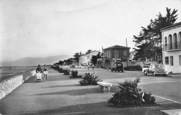 Canet Plage * Le Boulevard Maritime * Landau Poussette Automobiles - Canet Plage