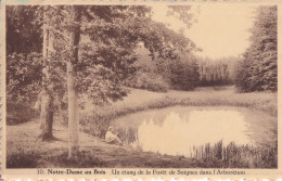 CP Notre Dame Au Bois Un étang De La  Forêt De Soignes Dans L'Arborétum - Overijse
