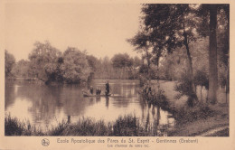  CP CHASTRE GENTINNES Ecole Apostolique Des Frères Du ST Esprit LES CHARMES DU LAC - Chastre