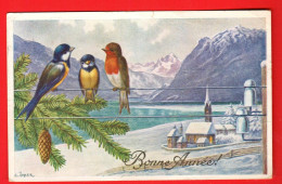 ABC-34 Bonne Année Oiseaux Multicolores Sur Un Fil. Paysage Dans La Neige.  Circulé 1929 - New Year