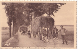 CP WERIS Grand Route De Barvaux Sur Ourthe Attelages De Boeufs Fenaison  Hôtel Des Dolmens  - Durbuy