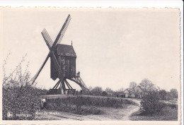 PK KEERBERGEN  CMont Du Moulin Molenberg   Edition : Au Petit Bruxelles   - Keerbergen