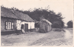 PK KEERBERGEN  Chemin Vers Le Moulin Weg Naar Den Molen   Edition : Au Petit Bruxelles   - Keerbergen