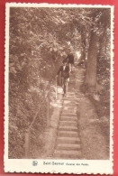 CP Ancienne SAINT SAUVEUR  Escalier Des Monts - Frasnes-lez-Anvaing