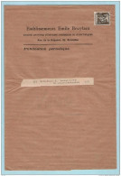 Préo 267 Allégorie Ceres  Bruxelles 1933 Brussel  Sur Bande / Manchon Pour Périodique - Double Port - 10 C Jusque 125 Gr - Sobreimpresos 1929-37 (Leon Heraldico)