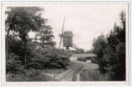 KEERBERGEN Drève Du Moulin  Molendreef Ed. STEPMAN  Au Petit Bruxelles - Keerbergen