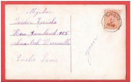 FORTUNE Obl NINOVE 15 V Sans Millésime  Vers Schaerbeek - Foruna (1919)