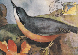 Carte Maximum Card  Oiseau BUZIN TP 2294 Sitelle Torcheport Obl 12 IX 1988 - 1981-1990