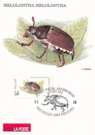 CPM  LA POSTE - TP 2633  Obl Musée Postal Bruxelles  3 V 1996  Nature Insecte Hanneton - 1991-2000
