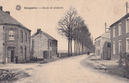 CP GOUGNIES Route De Châtelet  Non Circulée - Chatelet