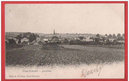 CP Brabant Wallon GREZ DOICEAU Panorama Edit. A.Michaux - Grez-Doiceau