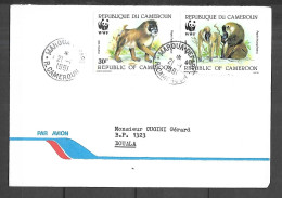 CAMEROUN Lettre Par Avion 21/01/1991 Maroua Vers Douala - Cameroun (1960-...)