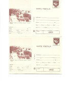 Romania -Postal Stationery Postcard 1983(96) - The Entire Image On The Postcard Is Shifted To The Left By 2mm - Abarten Und Kuriositäten