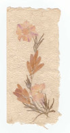 Carte Constituée De Fleurs Sechées , Fleur Séchée , Format 9.5x20.5cm - Autres & Non Classés