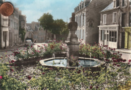 53 - Carte Postale Semi Moderne De  MAYENNE   La Fontaine Saint Vincent - Mayenne