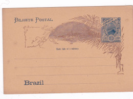 AMERIQUE - BRESIL - BRAZIL - Entier Postal Brésil Brazil (non Voyagé) 50 Reis - Brieven En Documenten