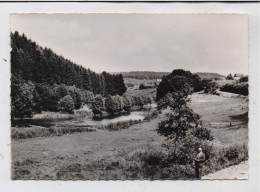 5238 HACHENBURG - HEIMBORN, Nistertal Bei Heimborn - Hachenburg