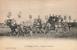 Le Haras Du Pin * Attelage De Percherons * Chevaux De Trait - Autres & Non Classés