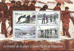 SPM    Année 2008 Cat Yt N°  Bloc N° 13  N**  MNH - Blocs-feuillets