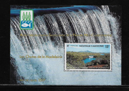 NOUVELLE CALEDONIE   ( NC - 648 )   1992   N° YVERT ET TELLIER  N°  13    N** - Hojas Y Bloques