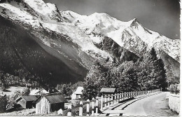 CHAMONIX   - ( 74  ) -  Le Mont Blanc ( C. P. S. M - Pt -Ft ) - Chamonix-Mont-Blanc