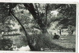 Houyet  Sous Bois  Et Descente De La Lesse  - Houyet