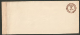 United States - Postal Stationary. 1893 FIVE CENTS Scott U350, Unused - ...-1900