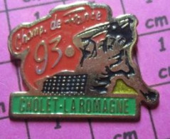 311a Pin's Pins / Beau Et Rare / SPORTS / TENNIS DE TABLE PING PONG CHAMPIONNAT DE FRANCE 93 CHOLET LA ROMAGNE - Tafeltennis