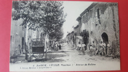 Sainte Cécile , Avenue De Bollene - Sonstige & Ohne Zuordnung