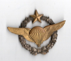 Brevet Parachutiste Air - Armée De L'air