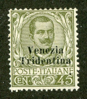 1099 Ax Italy Occ. 1918 Scott N58 Mint* (Lower Bids 20% Off) - Occupazione Austriaca