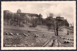 GERMANY ,  Kronach  ,  OLD  POSTCARD - Kronach